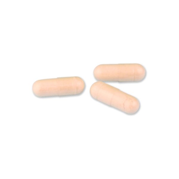 画像2: 発酵グルコサミン＆ボスウェリアセラータ　Wakasapri for Pro (2)