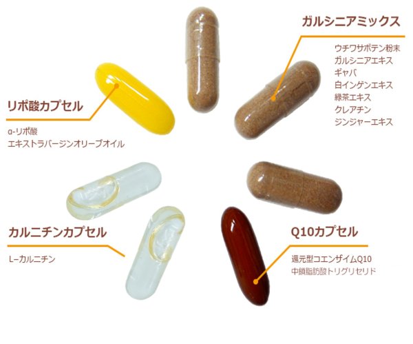 画像3: プレミアムダイエットサポート　6個セット (3)